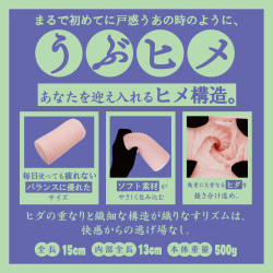 Innocent Princess Shelter