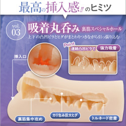 Ultimate Feeling of Penetration Vol. 3 Satomi