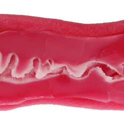 Vaginal Macaron Toro Toro Hard