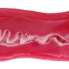 Vaginal Macaron Toro Toro Hard