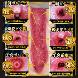 Shin Meiki Kaho Imai