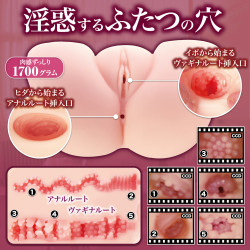 Obscene Suggestion Nostalgic Soft