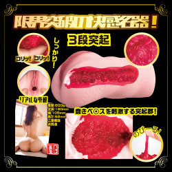 New Meiki no Syoumei 002 Akari Mitani