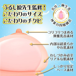 Real Body Kiwami Nama Chichi Venus