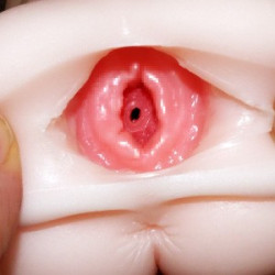 Lolinco