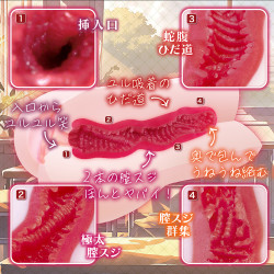 Uruwashi Saseko Beautiful Easy Senpai
