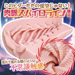 Spinal Spiral