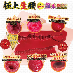 Extreme Pleasure Hip Mini Mori Hinako