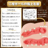 Real Body 3D Super Pai Kanon Kitaoji